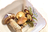 Саратовцы пожаловались на червивые грибы в лесу
